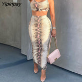 Yipinpay Women Clothes Snakeskin Print Crop Top & High Waist Maxi Skirt Set Casual Look for Women 2023