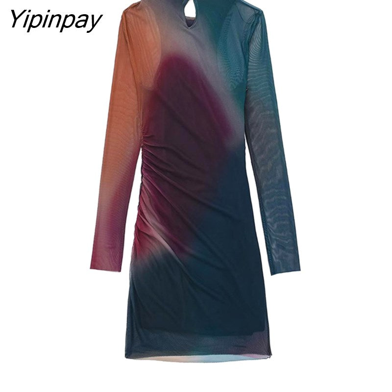 Yipinpay 2023 Sexy Women Tulle Printed Mini Dresses Vintage Female Slim Dresses Beach Party Long Sleeve O-neck Vestidos Mujer