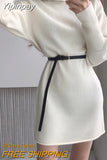 Yipinpay Oversized Sweater Dress Female Full Sleeve Casual Pullover Turtleneck Pullover Knitted Mini Dress Women Autumn Winter