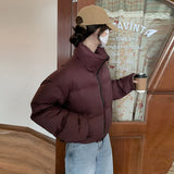 Coffee Color Turtleneck Cotton-Padded Jacket Women's Winter Korean Black Bread Suit Warm Cotton-Padded Clothes Short Cotton-Padded Jacket