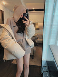 Yipinpay Autumn Winter Loose Hooded Clothing Woman Korean Fashion Knitted Sweater Casual Outwear Pure Color Elegant Pullover Chic