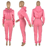 Yipinpay Women's Hood Tracksuit Sweatsuit Set Solid Color Nude Velvet Joggers Pullover Hoodies And Sweat Pant Two Piece Sets