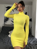 yipinpay Dress Knitted Long Sleeve Dress Bodycon Dress Solid Brown Autumn Winter Woman Dress Basic Streetwear Turtleneck Mini Dress