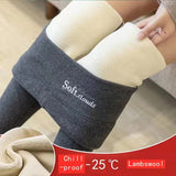 Yipinpay Fleece Lined Leggings Women Velvet Keep Warm Seamless Push Up Leggins Stretchy Tights Comfort Winter Women's Thermal Pants