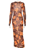 Yipinpay MO 2023 Fall Elegant Mesh Sheer Print O-Neck Longsleeve Women Midi Dress Femme Chic Side Split Slim Dress Pullover Robe