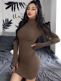 yipinpay Dress Knitted Long Sleeve Dress Bodycon Dress Solid Brown Autumn Winter Woman Dress Basic Streetwear Turtleneck Mini Dress
