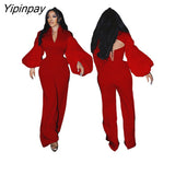 Yipinpay Women's Elegant Gauze Lantern Sleeve Bandage Tops Pants Two Piece Set 2023 Lady Fashion Backless Blouse Wide Leg Trousers Suits