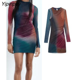 Yipinpay 2023 Sexy Women Tulle Printed Mini Dresses Vintage Female Slim Dresses Beach Party Long Sleeve O-neck Vestidos Mujer